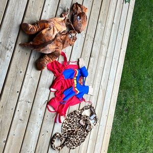 Dog Halloween Costumes